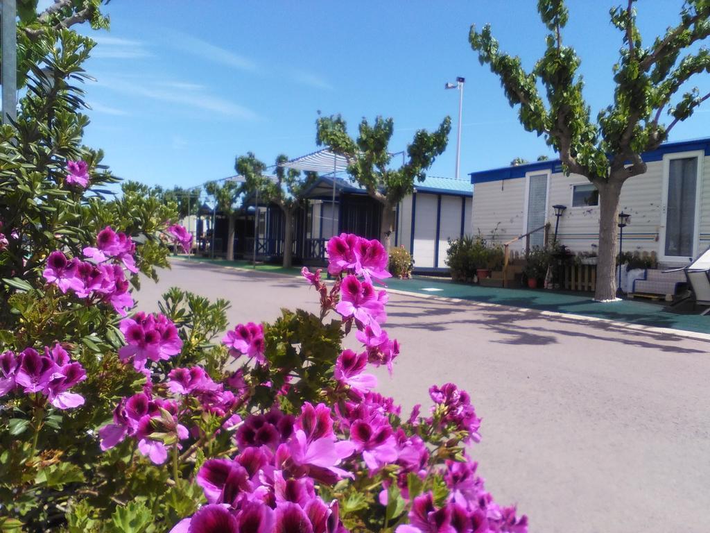 Camping Y Bungalows Monmar Монкофар Экстерьер фото